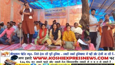 संविदा कर्मियों का हल्ला बोल: सेवा स्थायी को लेकर निकाली रैली, धरना -प्रदर्शन कर रखी अपनी मांग...